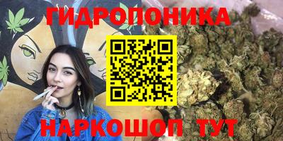 PSILOCYBIN Канаш