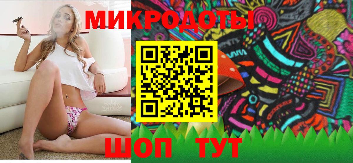 Галлюциногенные грибы Psilocybe  Вход с VPN  где можно купить наркотик  Прохладный 